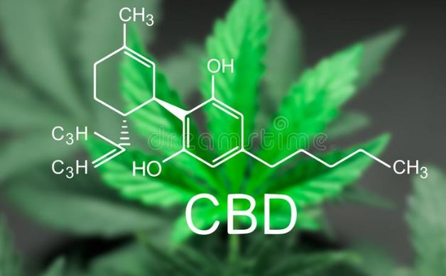 CBD Oil