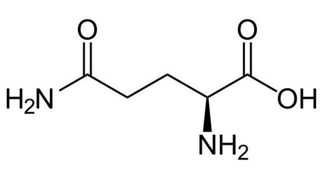 Glutamine